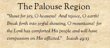 Isaiah 49:13